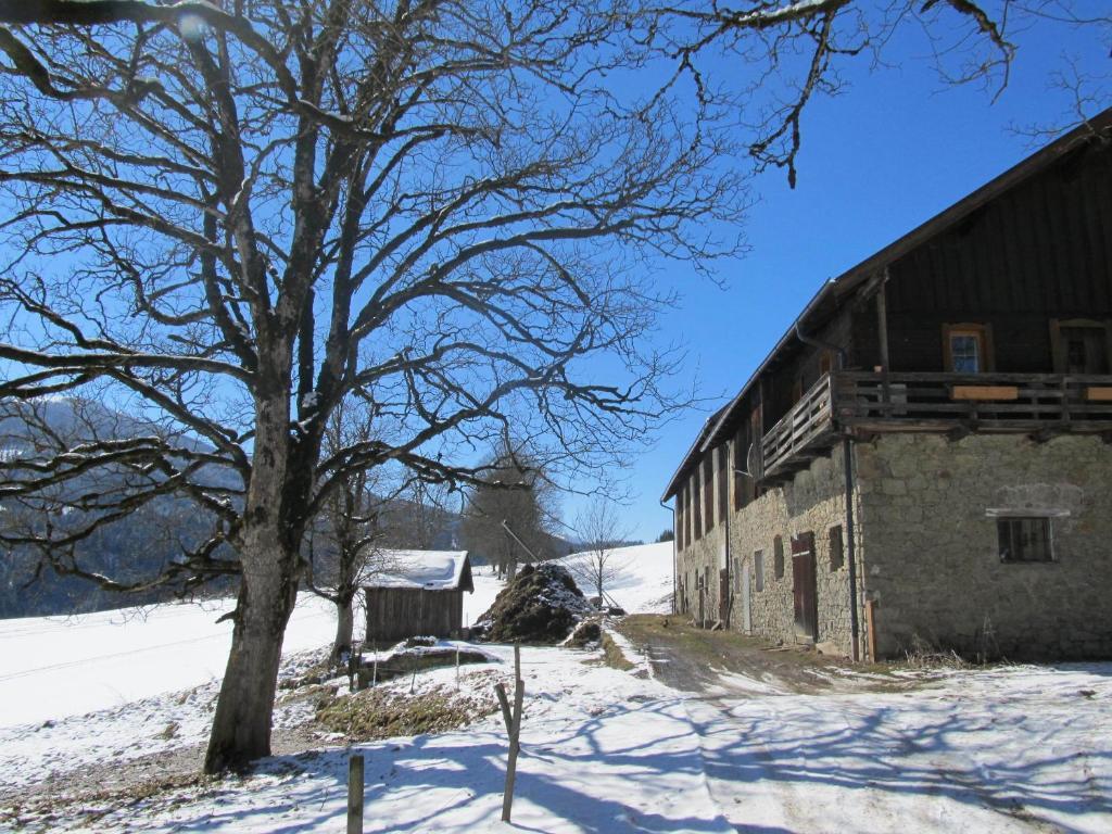 Ferienhaus Waldsicht Flachau Ngoại thất bức ảnh