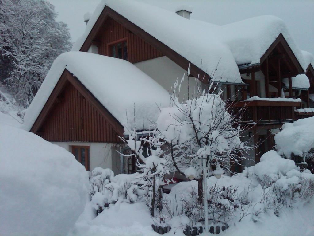 Ferienhaus Waldsicht Flachau Ngoại thất bức ảnh